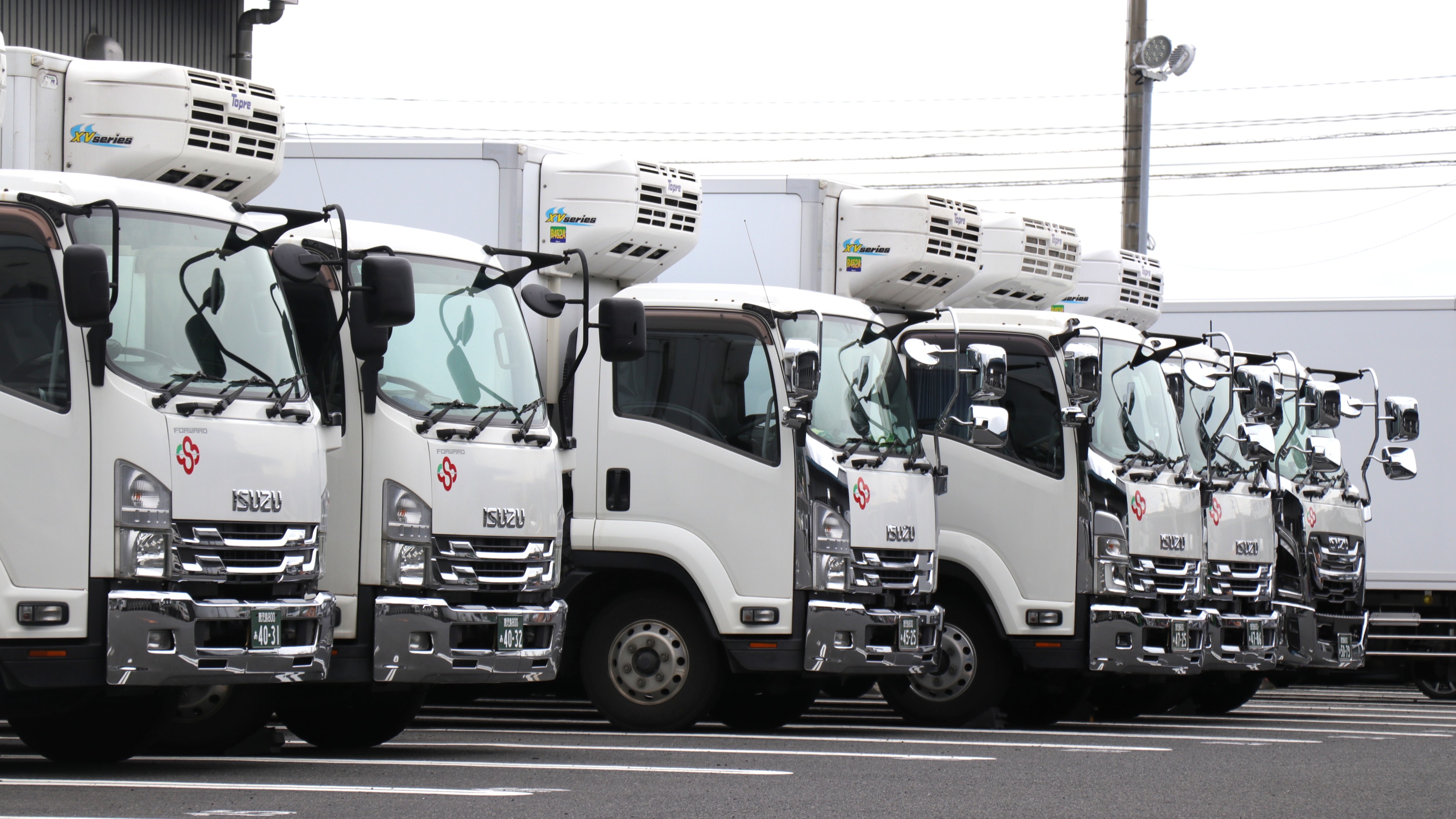 求人情報 - 株式会社南九州共配 | 3t冷凍車ドライバー【月35万も可