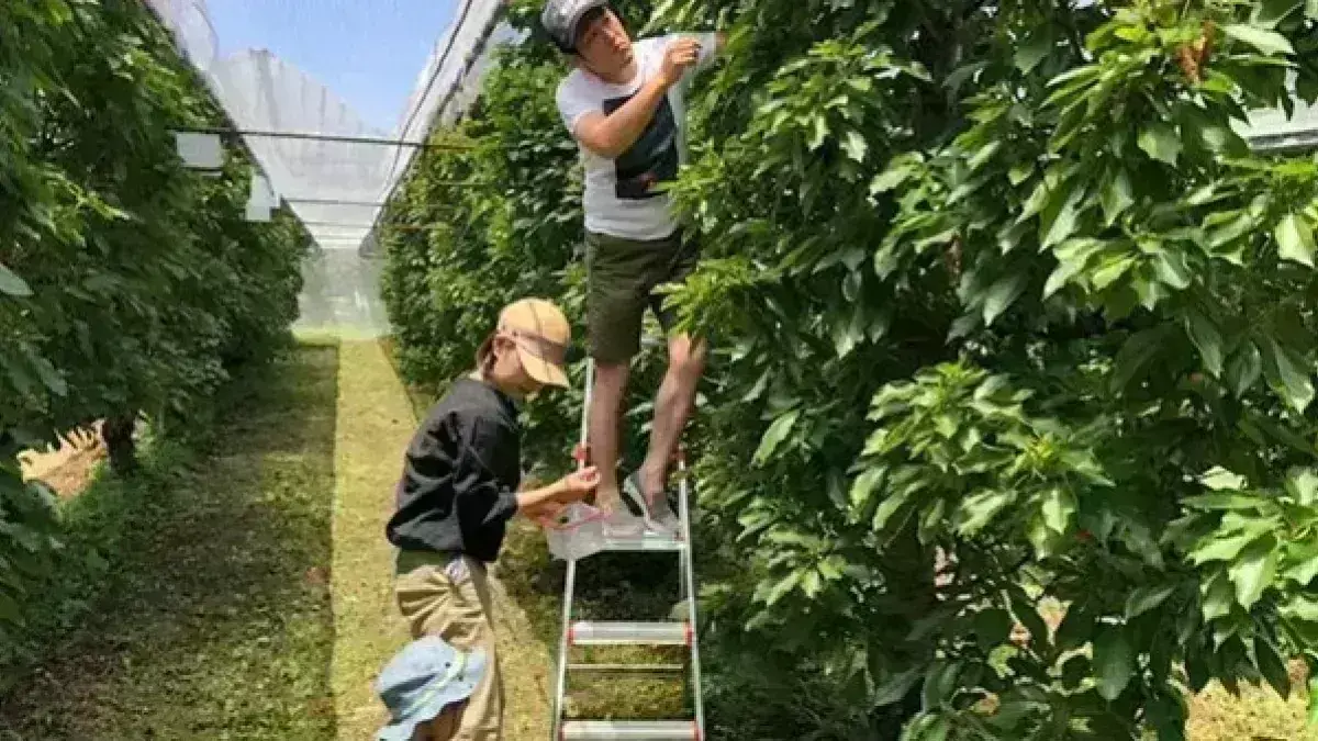 永年勤続表彰あり