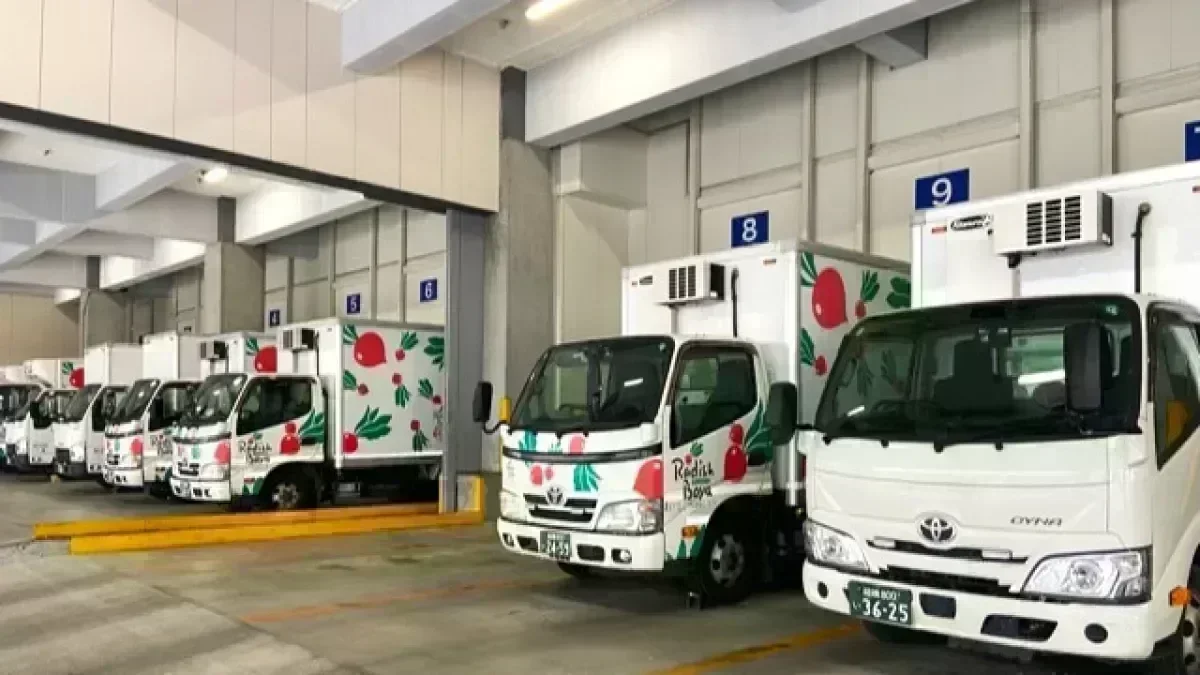 自動昇給制度あり