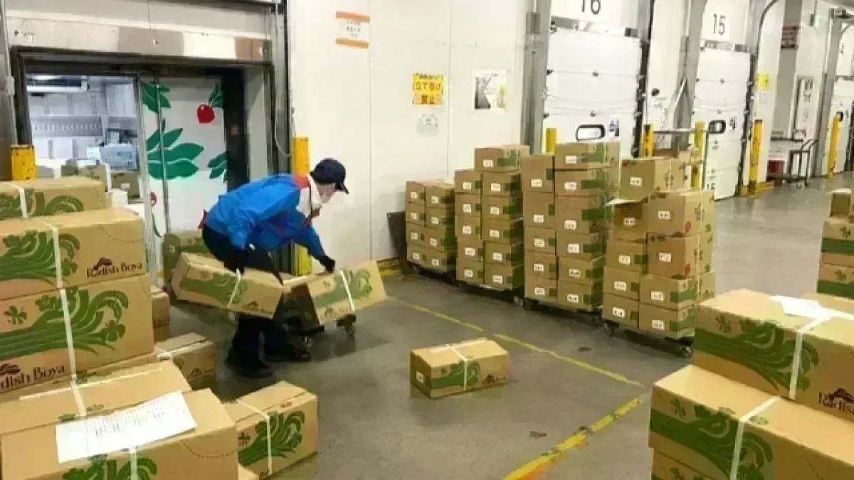 9割が配送未経験スタート！
