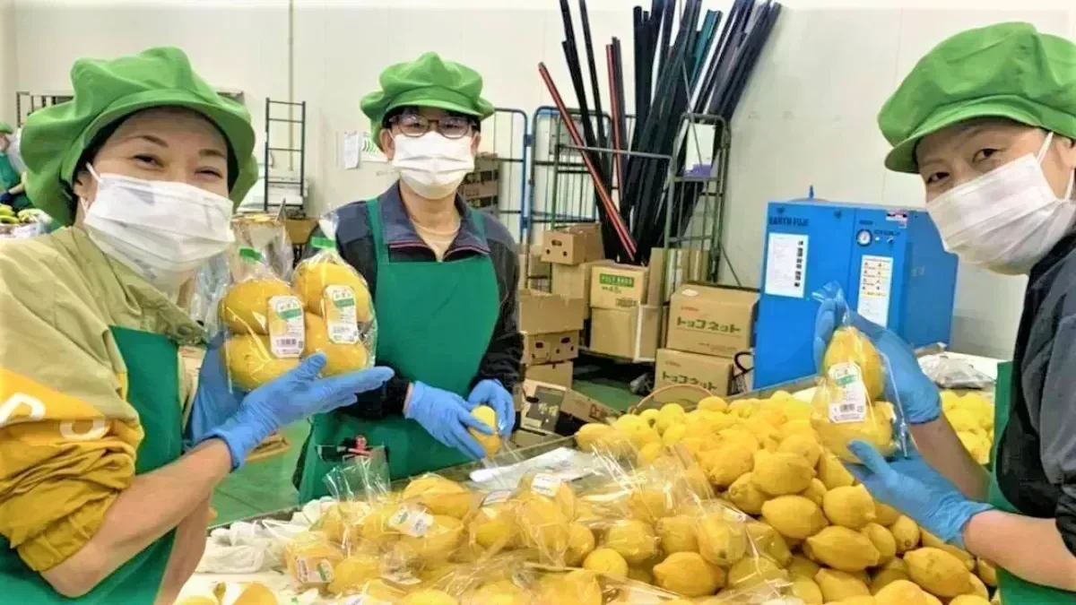 月50万円以上も可能