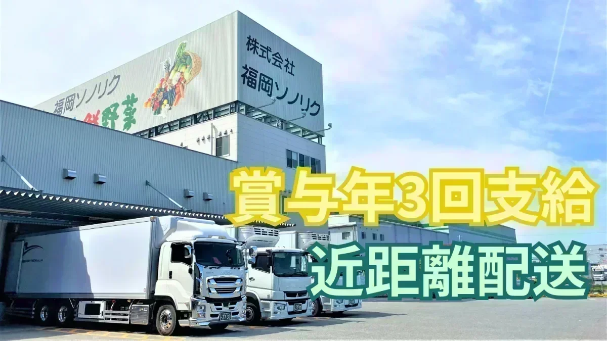 賞与年3回支給