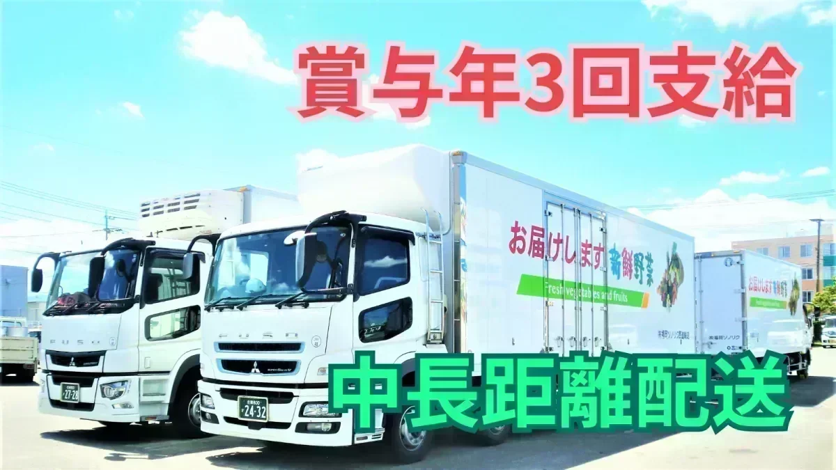 賞与年3回支給
