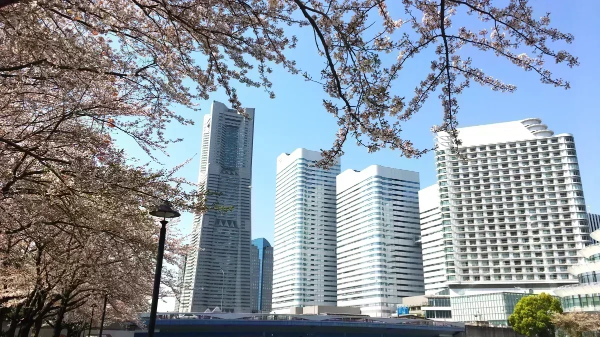 夏季 / 年末年始休暇あり