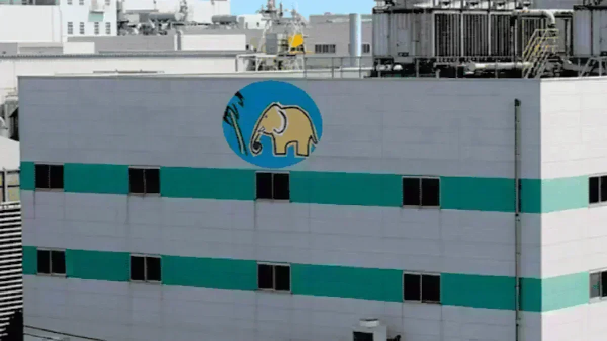 日勤のみ