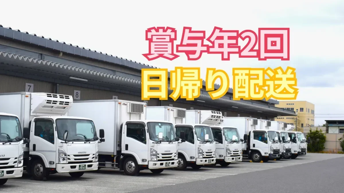 宿泊運行なし
