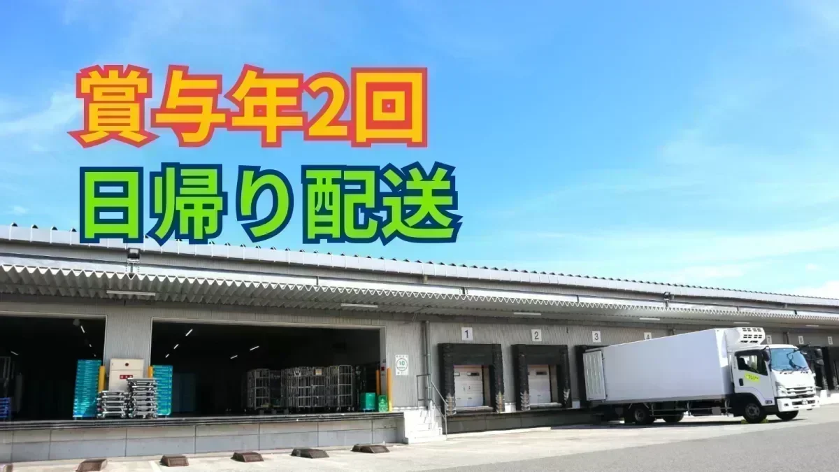 宿泊運行なし