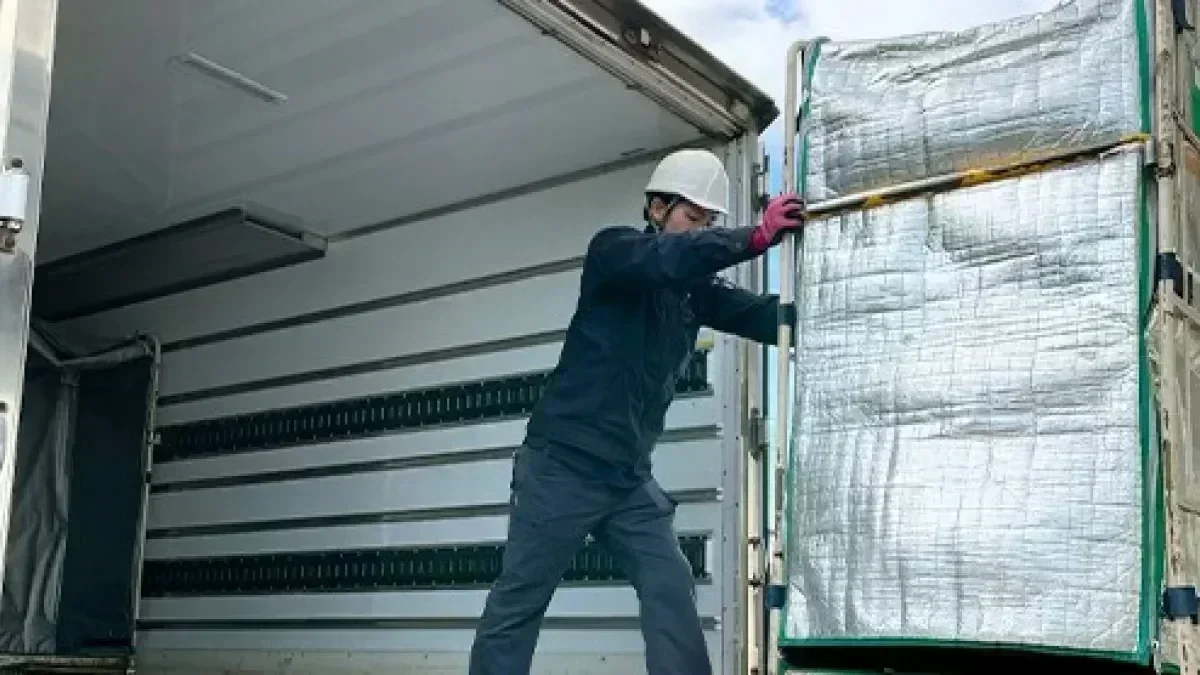 検品ナシ・カゴ台車メイン