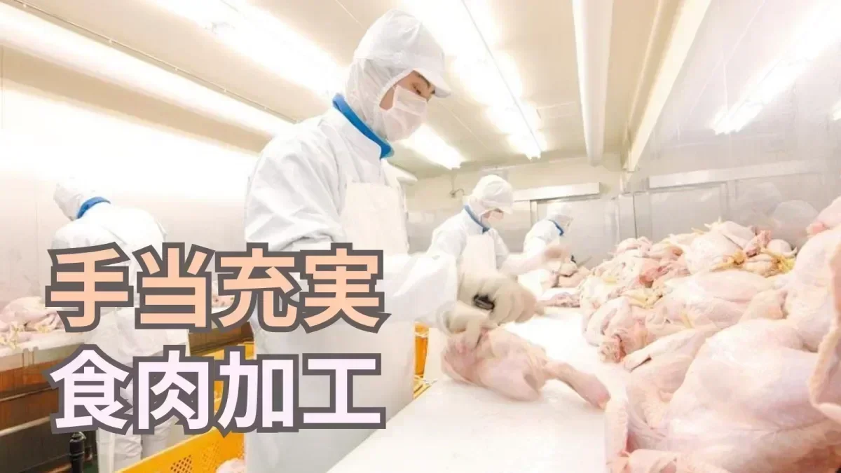 手当が豊富だからモチベーション高く働ける環境！