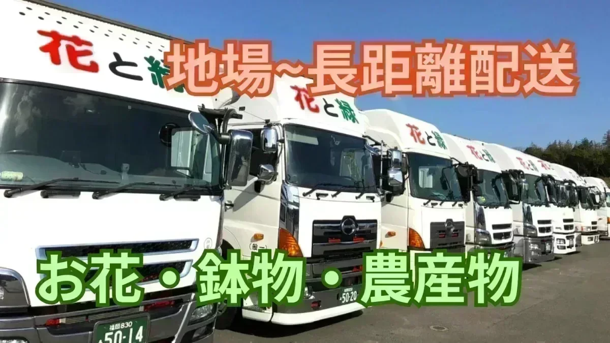 モデル月給350,000円 (40代・経験3年)