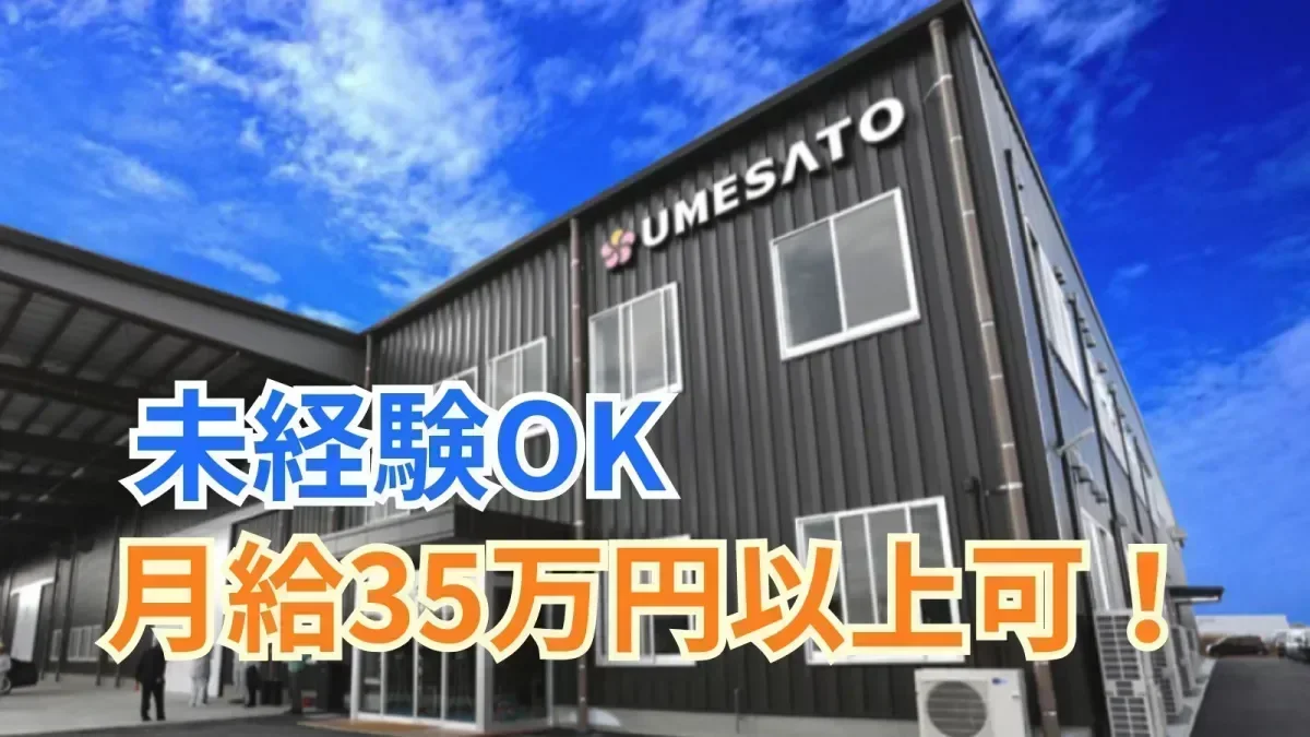 月給300,000~380,000円