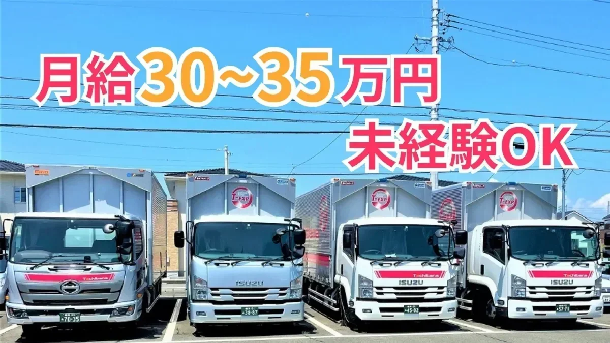 一人一車制
