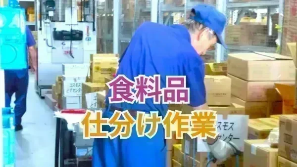 無資格・無免許でも応募OK