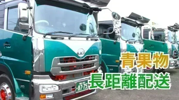 月給60万円も目指せる！